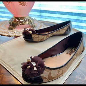 Coach Conney Khaki Signature Flat